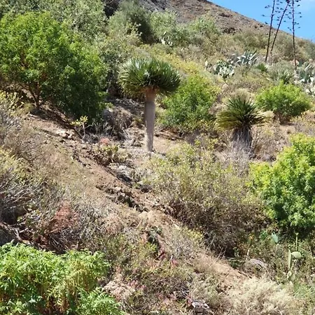 La Cueva Del Gato Holiday home Santa Brigida (Gran Canaria)